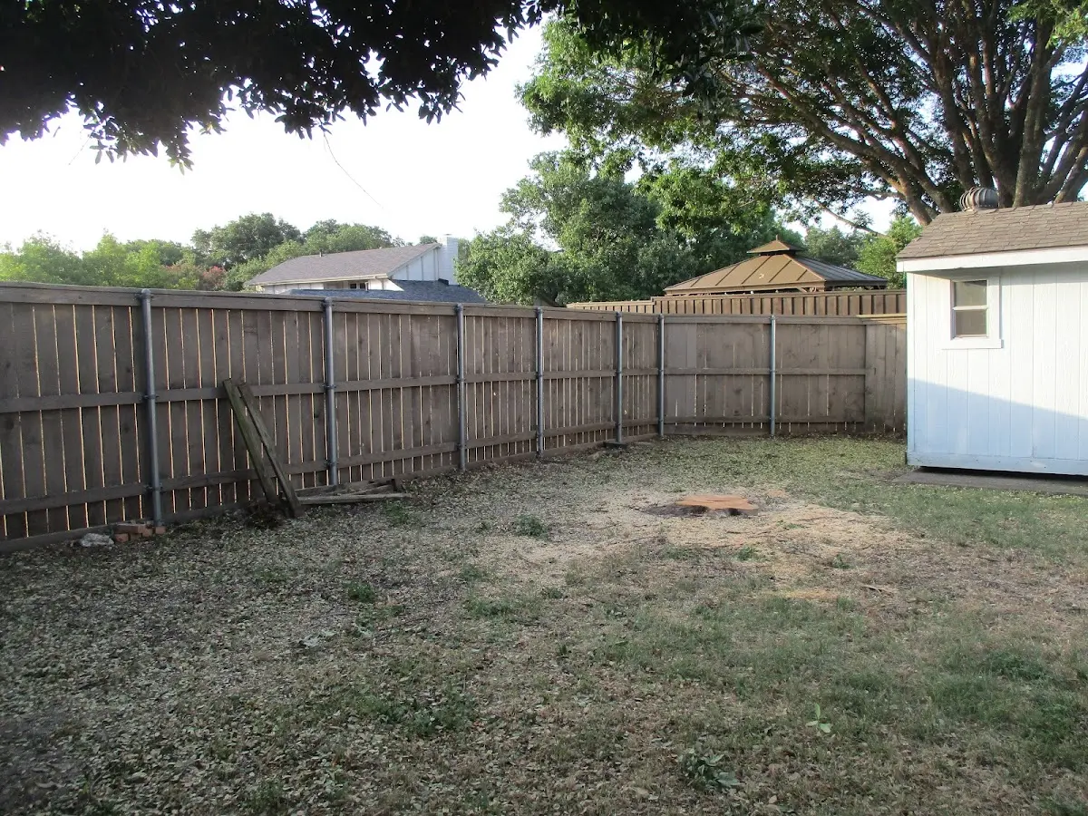 Cleared yard after professional tree removal in Victoria